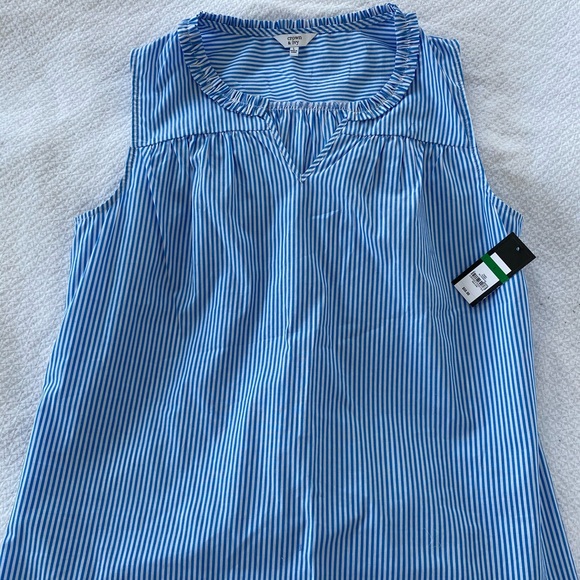 Blue and white stripe Crown and Ivy Top - Picture 1 of 5